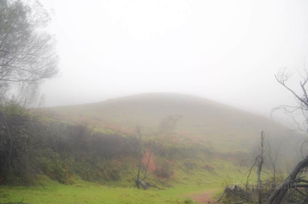 Misty Lakkidi
