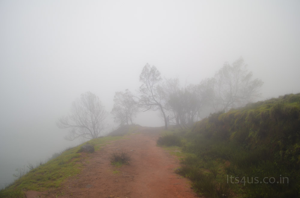 Misty Lakkidi
