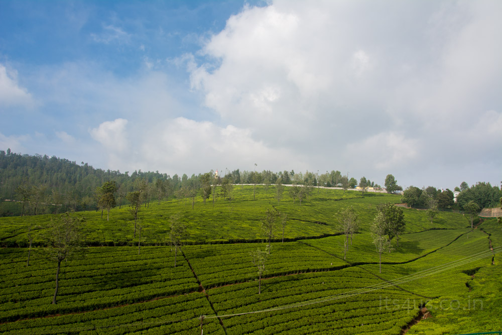 DSC_6569